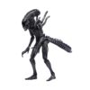 DC420176-Alien vs. Predator: Requiem Xeno Warrior 1:18 Scale Action Figure - Previews Exclusive