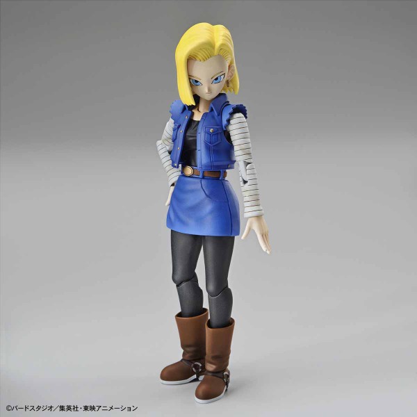 5058200-BANDAI Hobby Figure-rise Standard ANDROID No. 18 (Renewal Version)