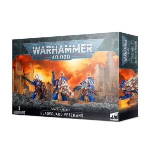 48-44-Warhammer 40K Space Marines Bladeguard Veterans