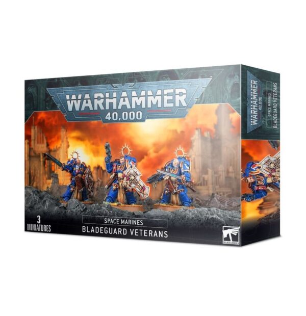 48-44-Warhammer 40K Space Marines Bladeguard Veterans