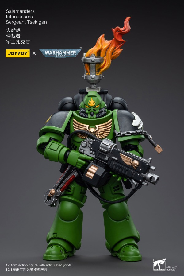 JT5239-JOYTOY Salamanders Intercessors Sergeant Tsek'gan
