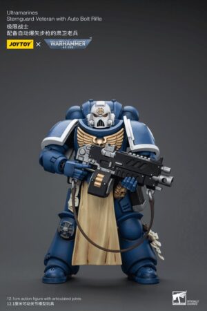 JT9824-Ultramarines Sternguard Veteran with Auto Bolt Rifle
