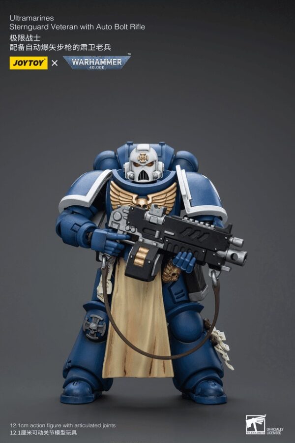 JT9824-Ultramarines Sternguard Veteran with Auto Bolt Rifle