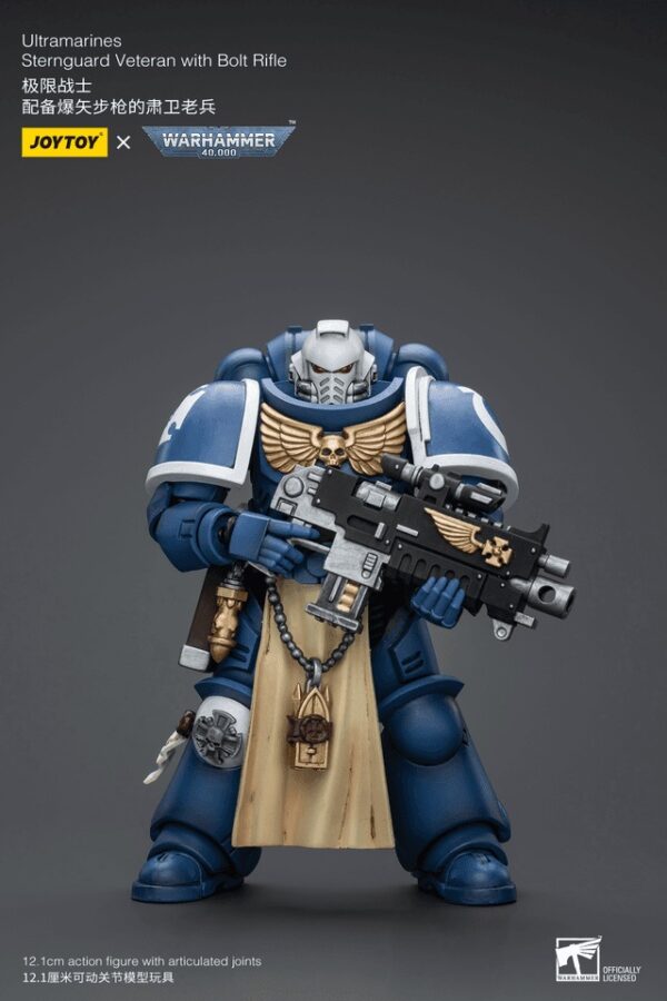 JT9831-Ultramarines Sternguard Veteran with Bolt Rifle
