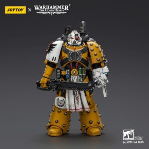 JT02472-Imperial Fists Legion Apothecary